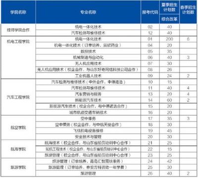 山東職業(yè)學院軟件專業(yè) 技能培養(yǎng)與就業(yè)前景分析