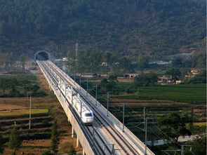 道路、橋梁、隧道與市政工程質量控制精華集萃——筑龍論壇專業(yè)分享
