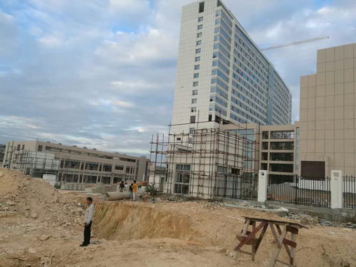 精準督導促實效，長埔路市政工程建設穩步推進——局領導深入一線檢查工程進展情況