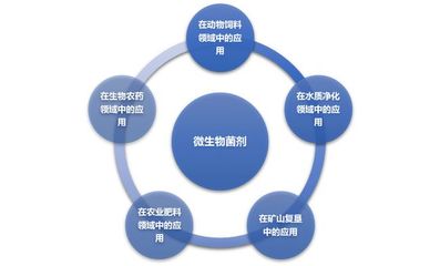 微生物菌劑行業(yè)競(jìng)爭(zhēng)格局及主要發(fā)展趨勢(shì)
